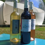 Bouteille de vin rouge, blanc ou rosé - 9 euros Bouteille de vin rouge, blanc ou rosé - 9 euros
